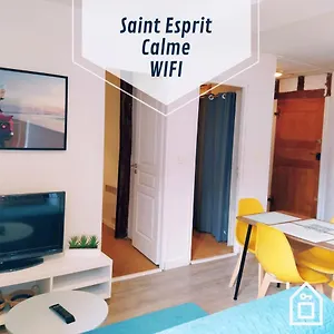 Katalina Lau T3 Au Coeur De Saint Esprit , Bayonne France
